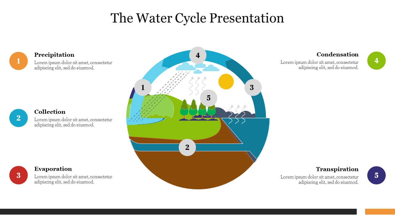 The Water Cycle Presentation